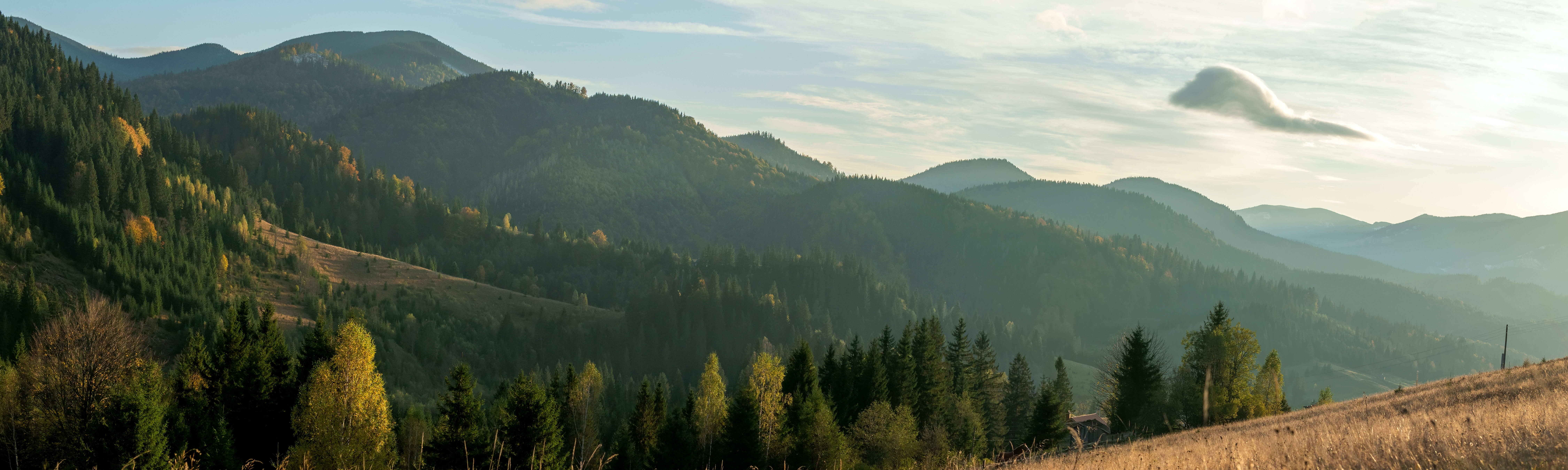 Adobestock 298796034 E1790792270217