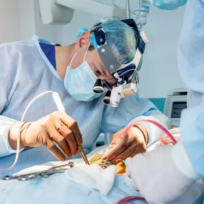 Surgeons performing minimally invasive spine surgery