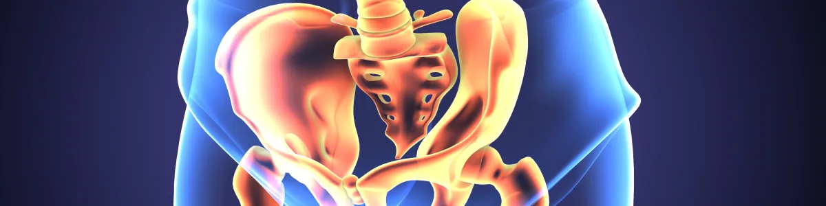 Illustration of the sacroiliac joint and pelvis